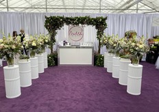 Matilda display at Benary+ in Watsonville